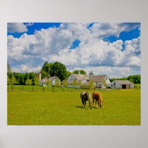 Poster Ferme à chevaux