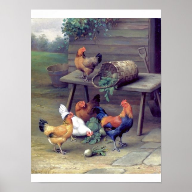 Poster Ferme de navets de coq (Devant)