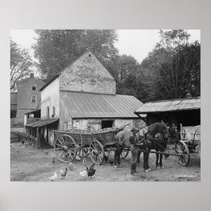 Poster Ferme de Pennsylvanie, 1906. Photo ancienne