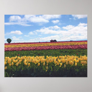 Poster Ferme de tulipes en bois, Bois, Oregon