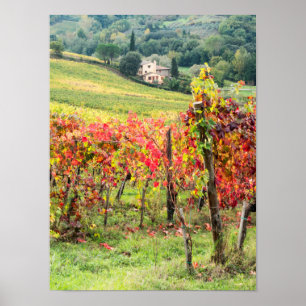 Poster Ferme et vignoble