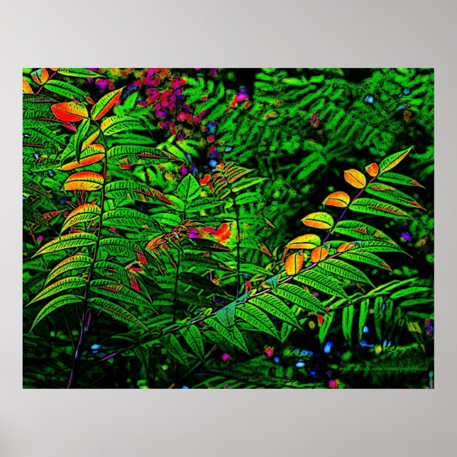 Poster Fermer Feuille Imprimer (Devant)