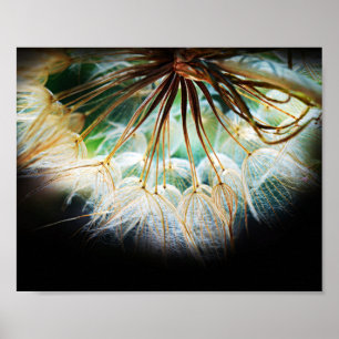 Poster Fermer la photographie détaillée de la nature des