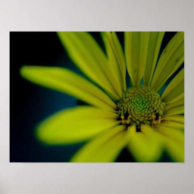 Poster Fermer le Fleur sauvage jaune (Devant)