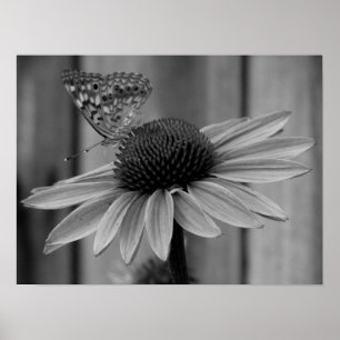 Poster Fermer le papillon
