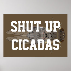 Poster Fermer les Cicadas