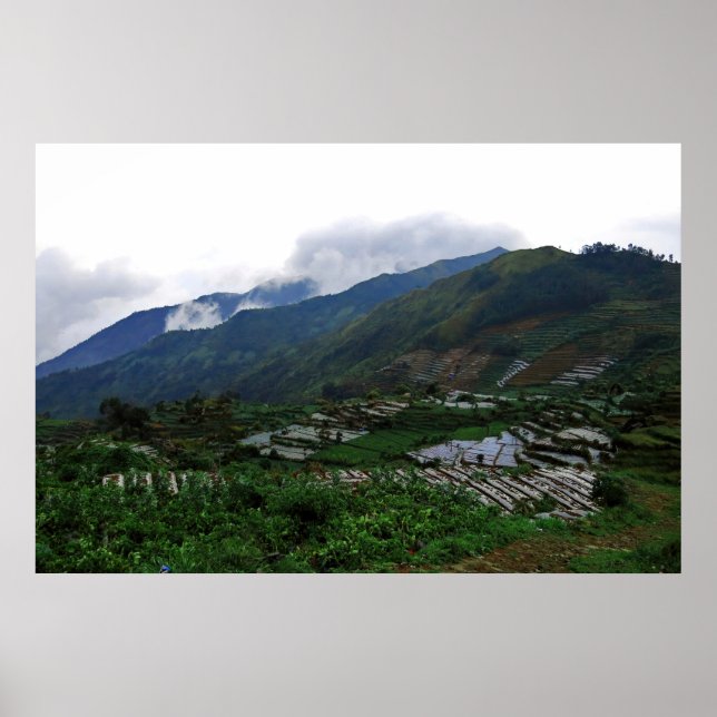 Poster Fermes de Dieng (Devant)