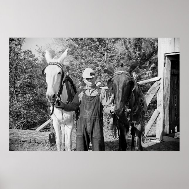 Poster Fermier à cheval doux, années 1930 (Devant)