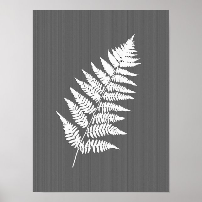 Poster Fern Frond, Blanc sur Gris de Charbon / Gris (Devant)