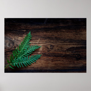 Poster Fern plant wood small fern grunge