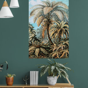 Poster Ferns Plantes Vintages par Ernst Haeckel