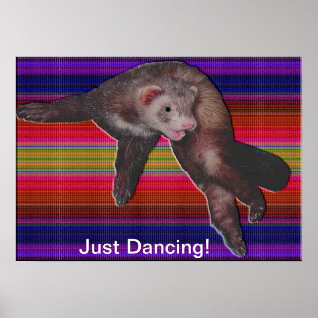 Poster Ferret de danse (Devant)