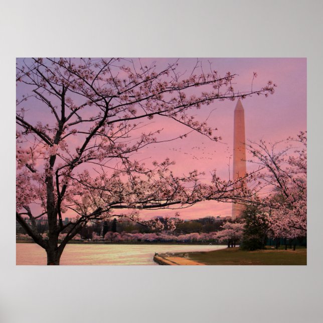 Poster Festival Cherry Blossom du Monument de Washington (Devant)