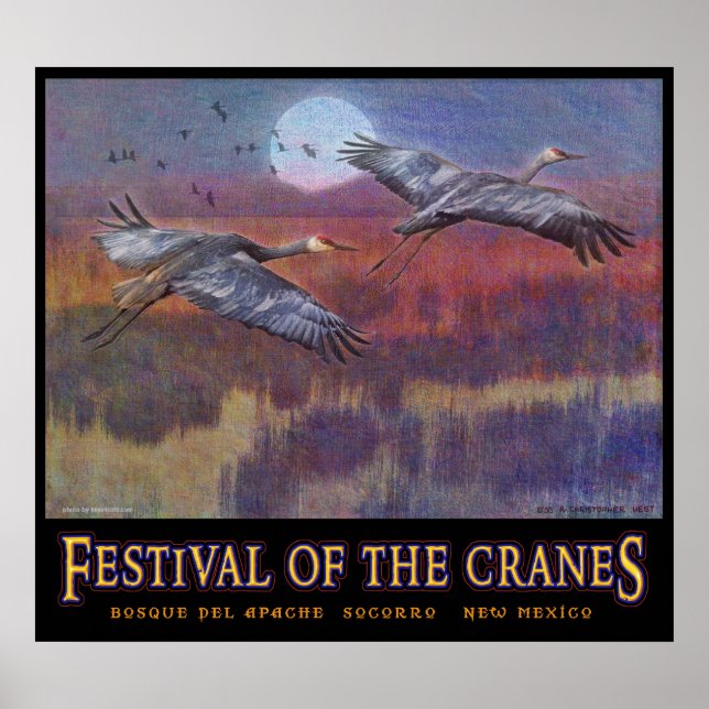 Poster festival de sandhill en novembre GRAND (Devant)