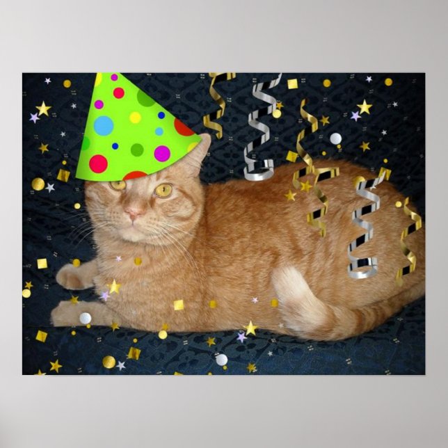 Poster Fête d'anniversaire Orange Tabby Cat (Devant)