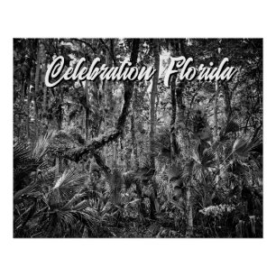 Poster Fête, Floride