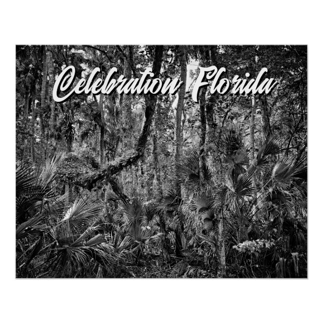 Poster Fête, Floride (Devant)