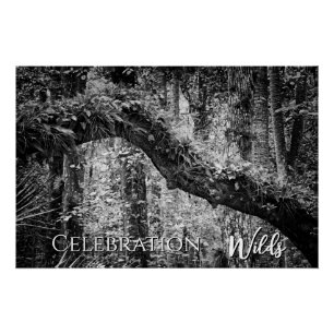 Poster Fête Wilds