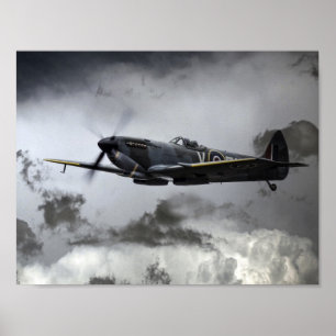 Poster Feu-broche TE311