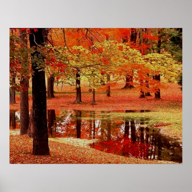 Poster Feu et pluie (Devant)