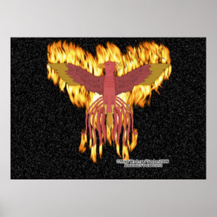Poster Feu Phoenix
