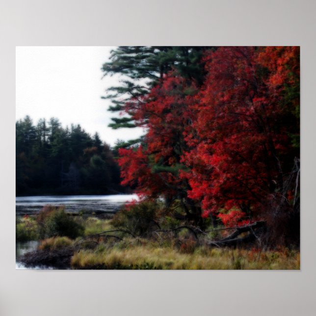 Poster Feuillage Automne Par Marécage Nature Orton Effet (Devant)