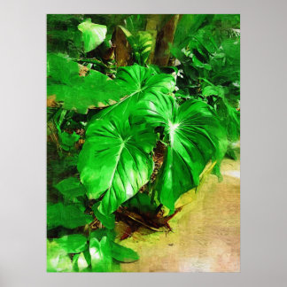 Poster feuillage tropical, jardins tropicaux fairchild, m