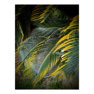 Poster Feuille