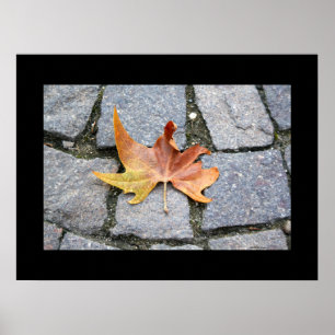Poster Feuille d'arbre plat de Londres