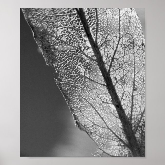 Poster Feuille d'automne - B&W (Devant)