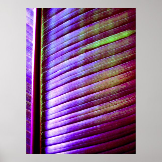 Poster (Feuille de banane) (Devant)