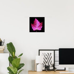 Poster Feuille de Maple Rouge d'Automne sur Fleur Noir