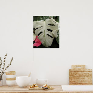 Poster Feuille de Monstera fleurie panachée