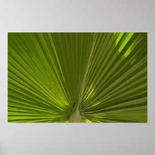 Poster Feuille de palmier tropical vert