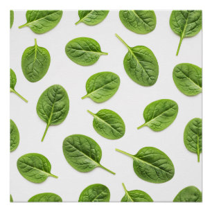 Poster Feuille d'épinards bio Motif sans couture