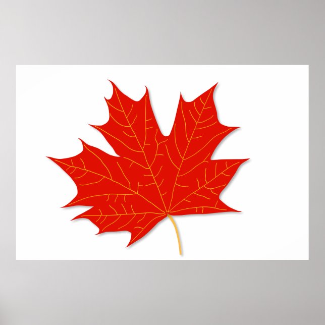Poster Feuille d'érable rouge (Devant)