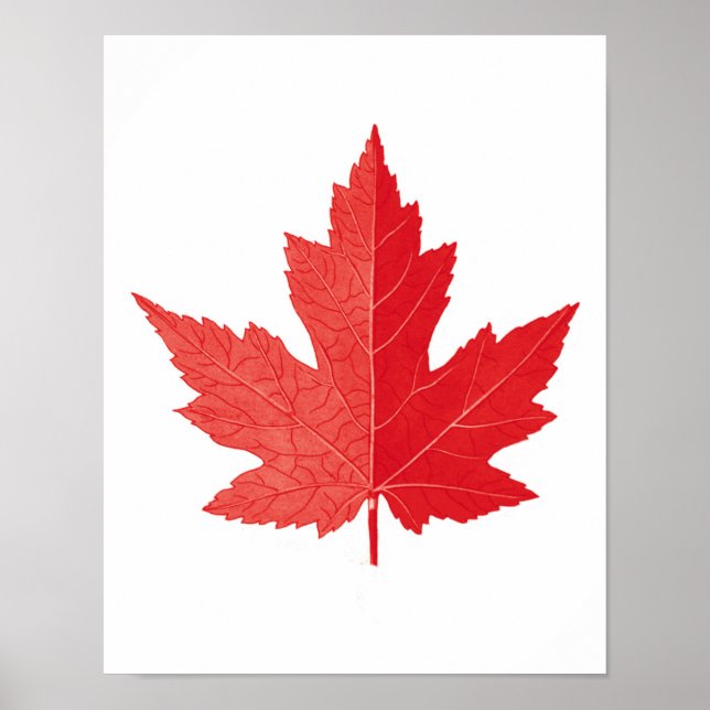 Poster Feuille d'érable rouge Fête du Canada imprimer n°  (Devant)