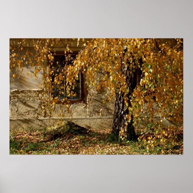 Poster feuille jaune (Devant)