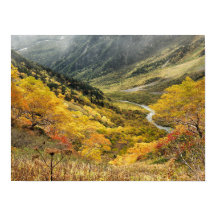 Feuille jaune automne naturel