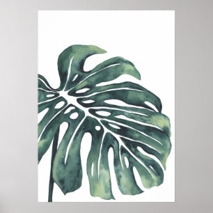 Poster Feuille Monstera 4