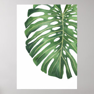 Poster Feuille Monstera 6