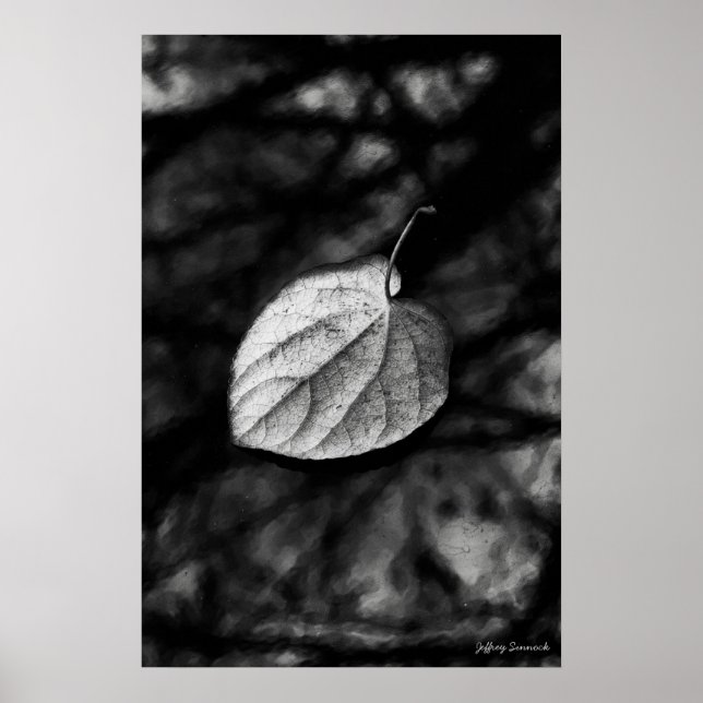 Poster Feuille tombée (Devant)