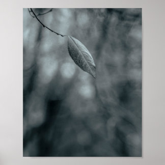 Poster Feuille unique sur une fine branche en monochrome