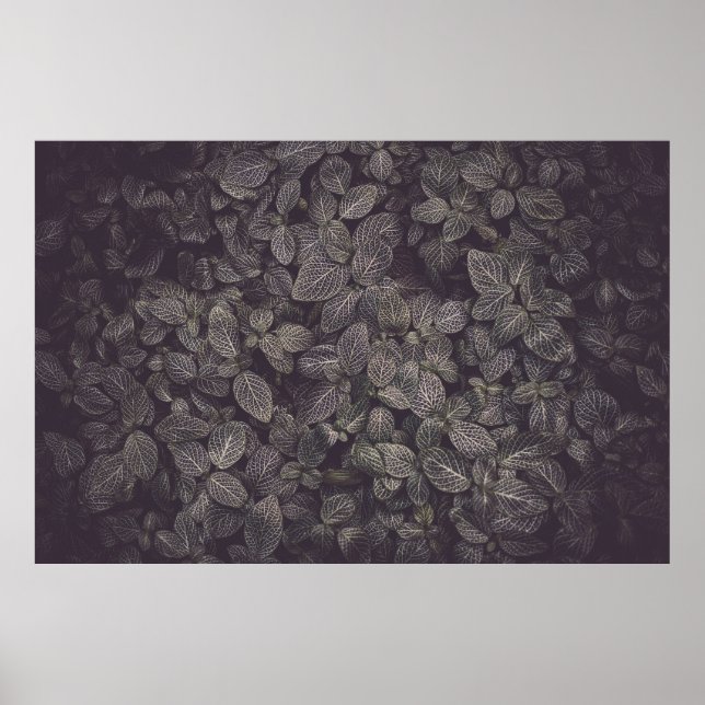 POSTER FEUILLE VERT (Devant)