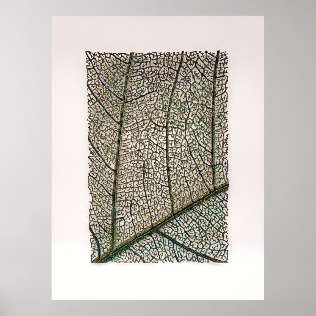 Poster Feuille verte (Devant)