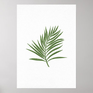 Poster Feuille verte 3