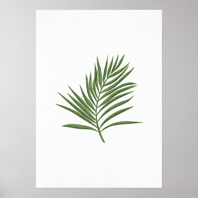 Poster Feuille verte 3 (Devant)