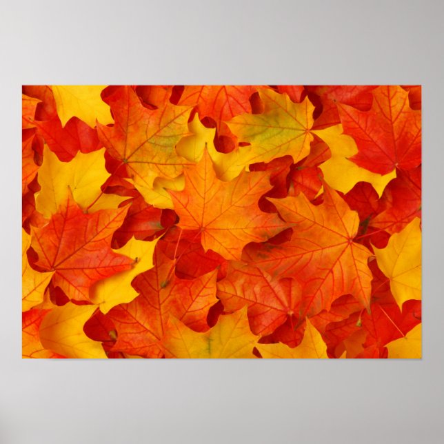 Poster Feuilles automnales (Devant)