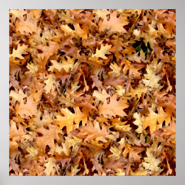 POSTER FEUILLES D'AUTOMNE (Devant)