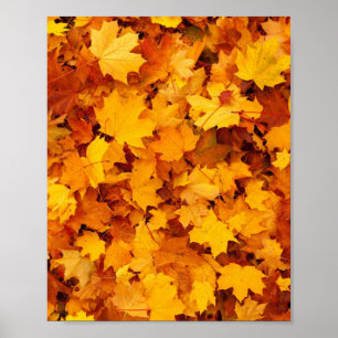 Poster Feuilles d'automne